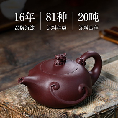 紫砂壶套装 纯手工茶壶单壶大容量家用泡茶茶具